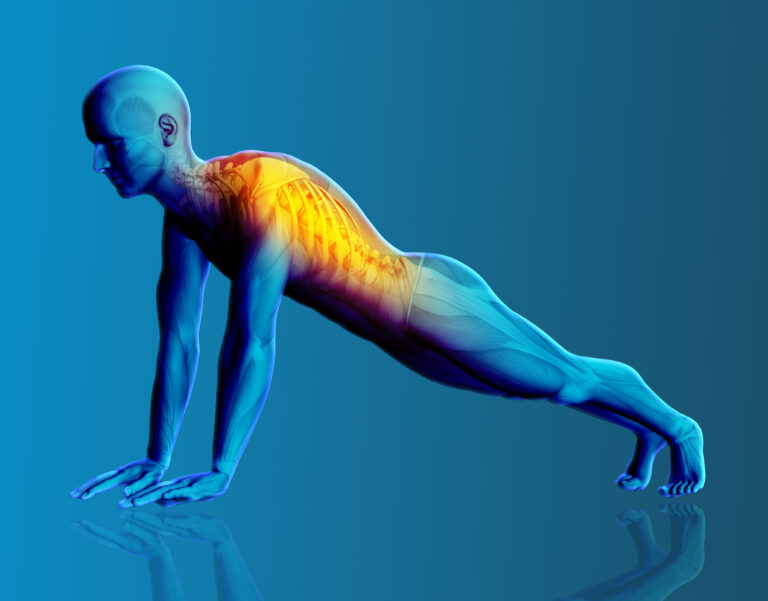 Harnessing the Power of Cardio: How Regular Aerobic Exercise Promotes Healthy Muscles and Bones