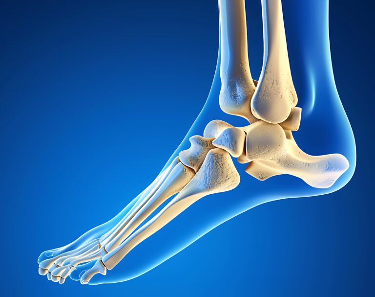 Difference Between Tendons and Ligaments