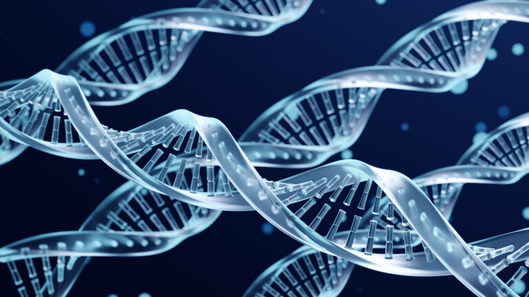 The Impact of Hormones on Bone Health