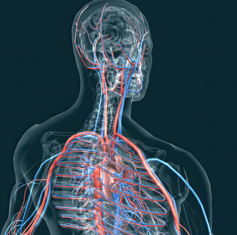 Navigating Nerve Pain: Strategies for Managing Discomfort